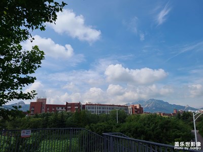 用照片記錄世界