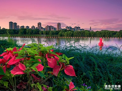 夏季的大運(yùn)河