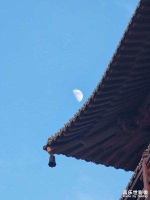 城市很大，人潮洶涌