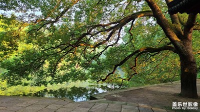 [精彩翻倍]   隨手拍身邊