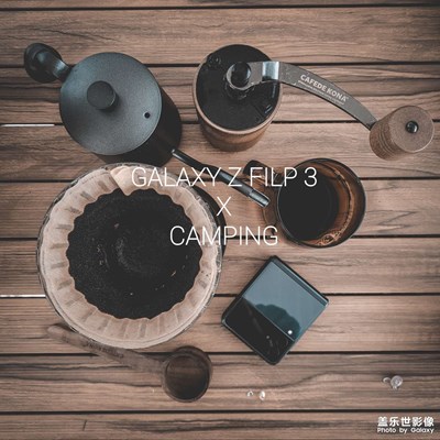 長在審美上的夏夜森林