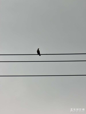 上海南翔古鎮(zhèn)