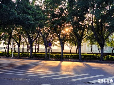 城市中的風(fēng)光照片