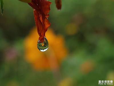 雨滴，專業(yè)模式
