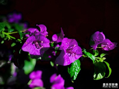 杯淺不知酒滋味，回首方知酒意濃。