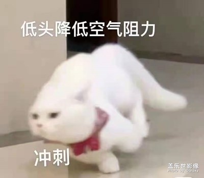 每天都在元氣滿滿