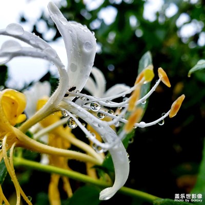 物語·雨