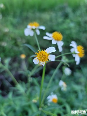生活隨拍的樂趣