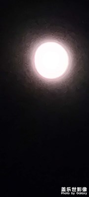 拍月亮
