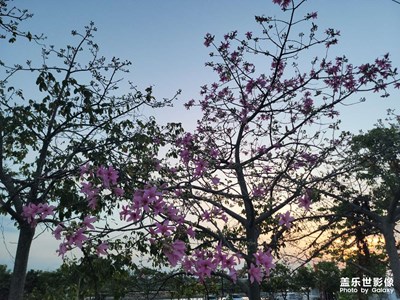 農(nóng)家樂照片2