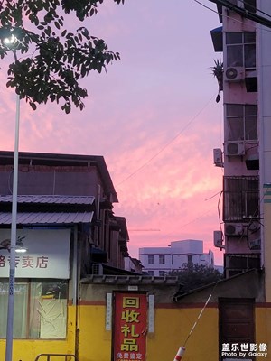 昨日隨拍