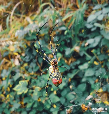 家鄉(xiāng)隨拍