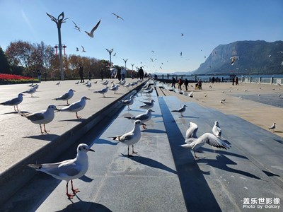 云南昆明海埂公園