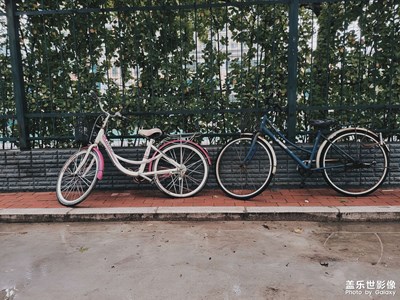 zfold3每日一拍系列