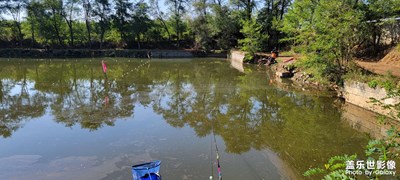 一桿，一線，一世界 鰱鳙篇