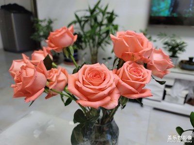 今日照片 鮮花和夕陽(yáng)