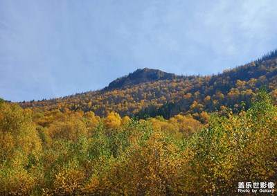 【影像從心】 秋日山林