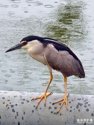 【發(fā)現(xiàn)美的眼睛】+生活隨拍

