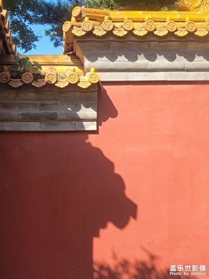 【發(fā)現(xiàn)美的眼睛】景山一角