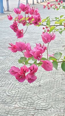 揭陽(yáng)