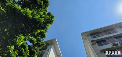 我這圖片拍得怎么樣？