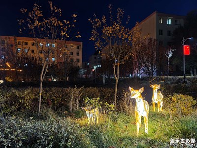 今日照片    天黑的越來(lái)越早了