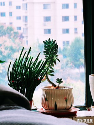 從zfold3換回s21u，舒服了。