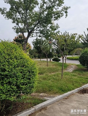 沒有大背景，小城市的小景也逸情