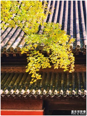 甄嬛傳之后宮斗艷