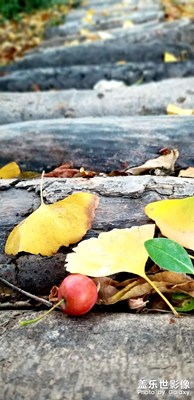 【身邊的美好】＋公園一隅