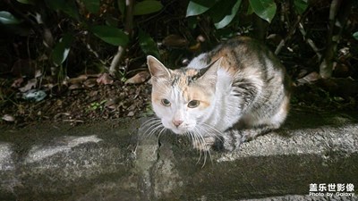 【立冬】+冷  夜，夜 冷