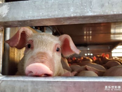 來(lái)看看小可愛(ài)