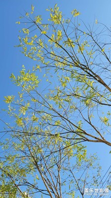 這個(gè)風(fēng)景像春天嗎？