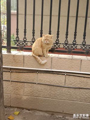 【創(chuàng)意生活】寒冷的氣溫，身邊的溫馨