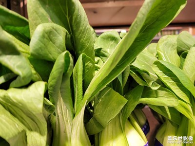 [Galaxy S20 FE]蔬菜和天空