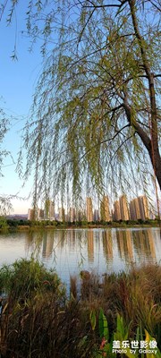 龍津湖入秋美景