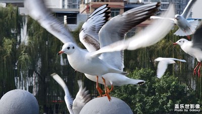 冬日午后陽光下的自然