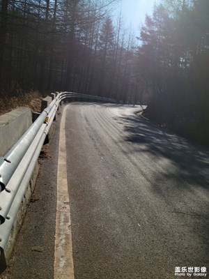 上山看雪，雪已融化