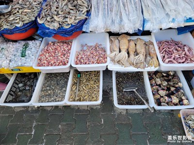 今日照片  逛菜市場(chǎng)