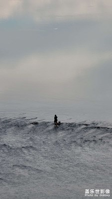 冬日午后陽光下的自然