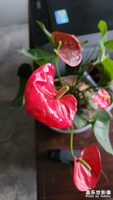 0隨手拍
