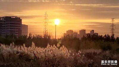 【城市漫游記】+冬日的溫暖