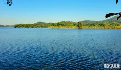 東莞同沙公園隨拍