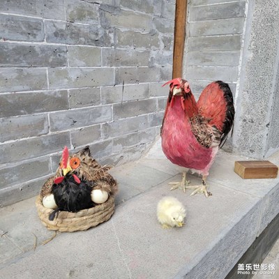 【難忘2021】難得的一次外出