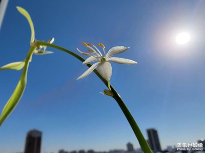 【難忘2021】+銀川的藍天！