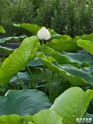 [難忘2021]旅途的瞬間感