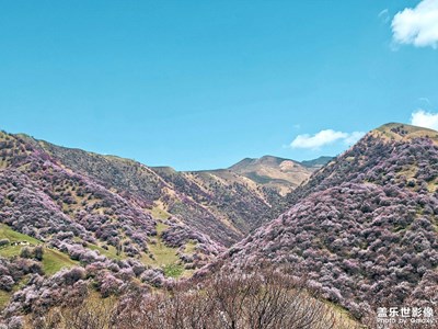 【難忘2021】新疆&川西之旅