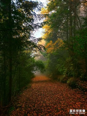 【難忘2021】往事如煙，展望未來