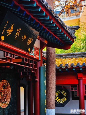 【難忘2021】濟南的暖冬