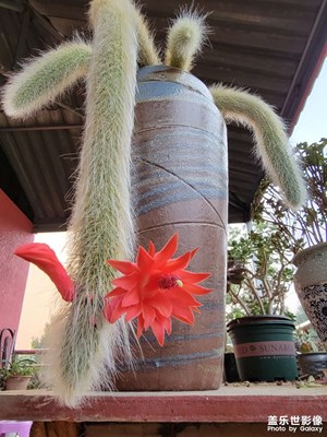 我是真禁不住夸獎的??